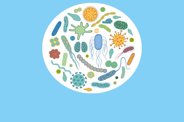 Results of first clinical trial of antibody to neutralise henipaviruses