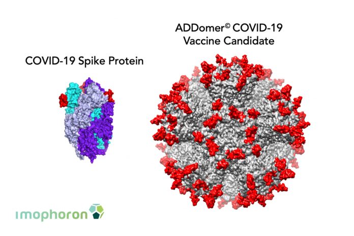 Image of COVID-19 spike proteint and ADDomer COVIDE-19 vaccine candidate to show New vaccine platform used to develop COVID-19 vaccine candidates